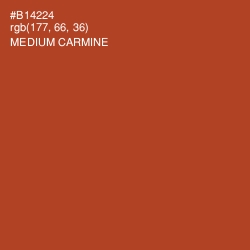 #B14224 - Medium Carmine Color Image