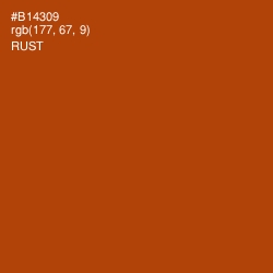 #B14309 - Rust Color Image