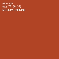 #B14425 - Medium Carmine Color Image