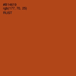 #B14619 - Rust Color Image