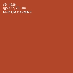 #B14628 - Medium Carmine Color Image