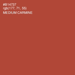 #B14737 - Medium Carmine Color Image