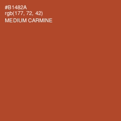 #B1482A - Medium Carmine Color Image