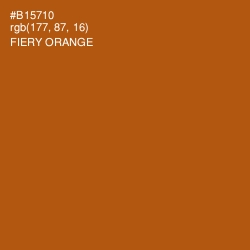 #B15710 - Fiery Orange Color Image