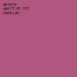 #B1577F - Cadillac Color Image