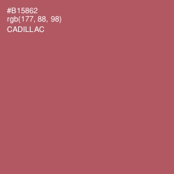 #B15862 - Cadillac Color Image