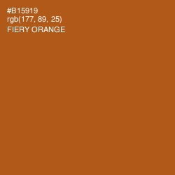 #B15919 - Fiery Orange Color Image