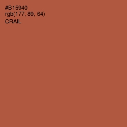 #B15940 - Crail Color Image