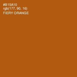 #B15A10 - Fiery Orange Color Image