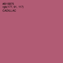 #B15B75 - Cadillac Color Image