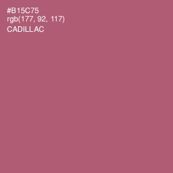#B15C75 - Cadillac Color Image