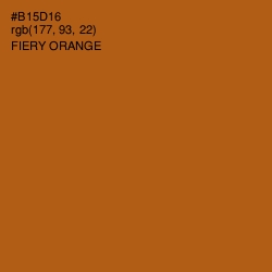 #B15D16 - Fiery Orange Color Image