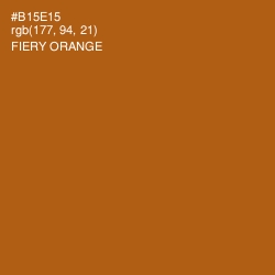 #B15E15 - Fiery Orange Color Image