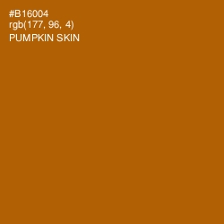 #B16004 - Pumpkin Skin Color Image