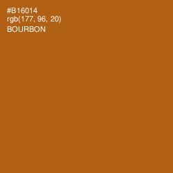 #B16014 - Bourbon Color Image