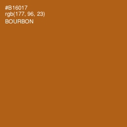 #B16017 - Bourbon Color Image