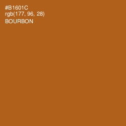 #B1601C - Bourbon Color Image