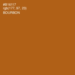 #B16117 - Bourbon Color Image