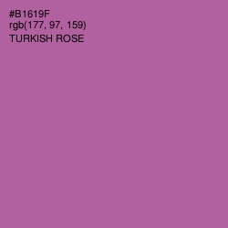 #B1619F - Turkish Rose Color Image