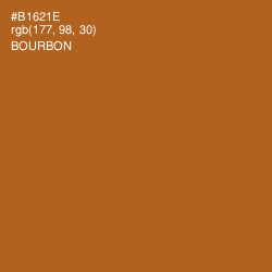 #B1621E - Bourbon Color Image