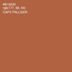 #B16240 - Cape Palliser Color Image