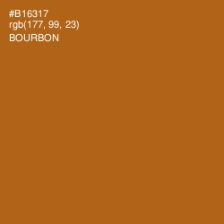 #B16317 - Bourbon Color Image