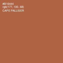 #B16444 - Cape Palliser Color Image