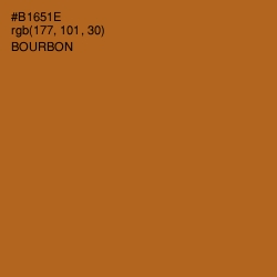 #B1651E - Bourbon Color Image