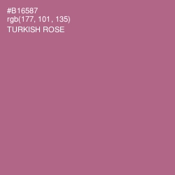 #B16587 - Turkish Rose Color Image