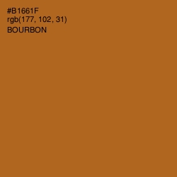 #B1661F - Bourbon Color Image