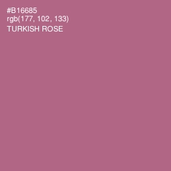#B16685 - Turkish Rose Color Image