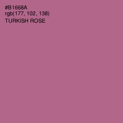 #B1668A - Turkish Rose Color Image