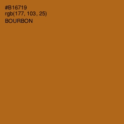 #B16719 - Bourbon Color Image