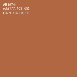 #B16741 - Cape Palliser Color Image