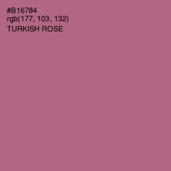 #B16784 - Turkish Rose Color Image