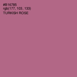 #B16785 - Turkish Rose Color Image