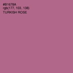 #B1678A - Turkish Rose Color Image