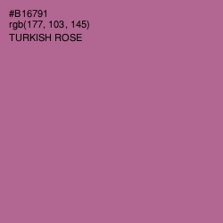 #B16791 - Turkish Rose Color Image