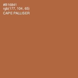 #B16841 - Cape Palliser Color Image