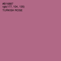 #B16887 - Turkish Rose Color Image