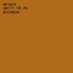 #B1691A - Bourbon Color Image