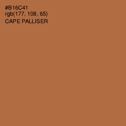 #B16C41 - Cape Palliser Color Image