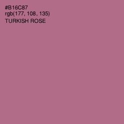 #B16C87 - Turkish Rose Color Image