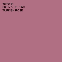 #B16F84 - Turkish Rose Color Image