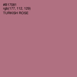 #B17081 - Turkish Rose Color Image