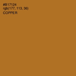 #B17124 - Copper Color Image