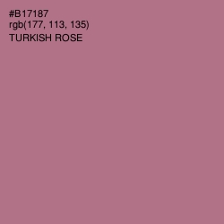 #B17187 - Turkish Rose Color Image