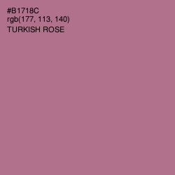 #B1718C - Turkish Rose Color Image