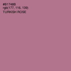 #B1748B - Turkish Rose Color Image