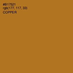 #B17521 - Copper Color Image